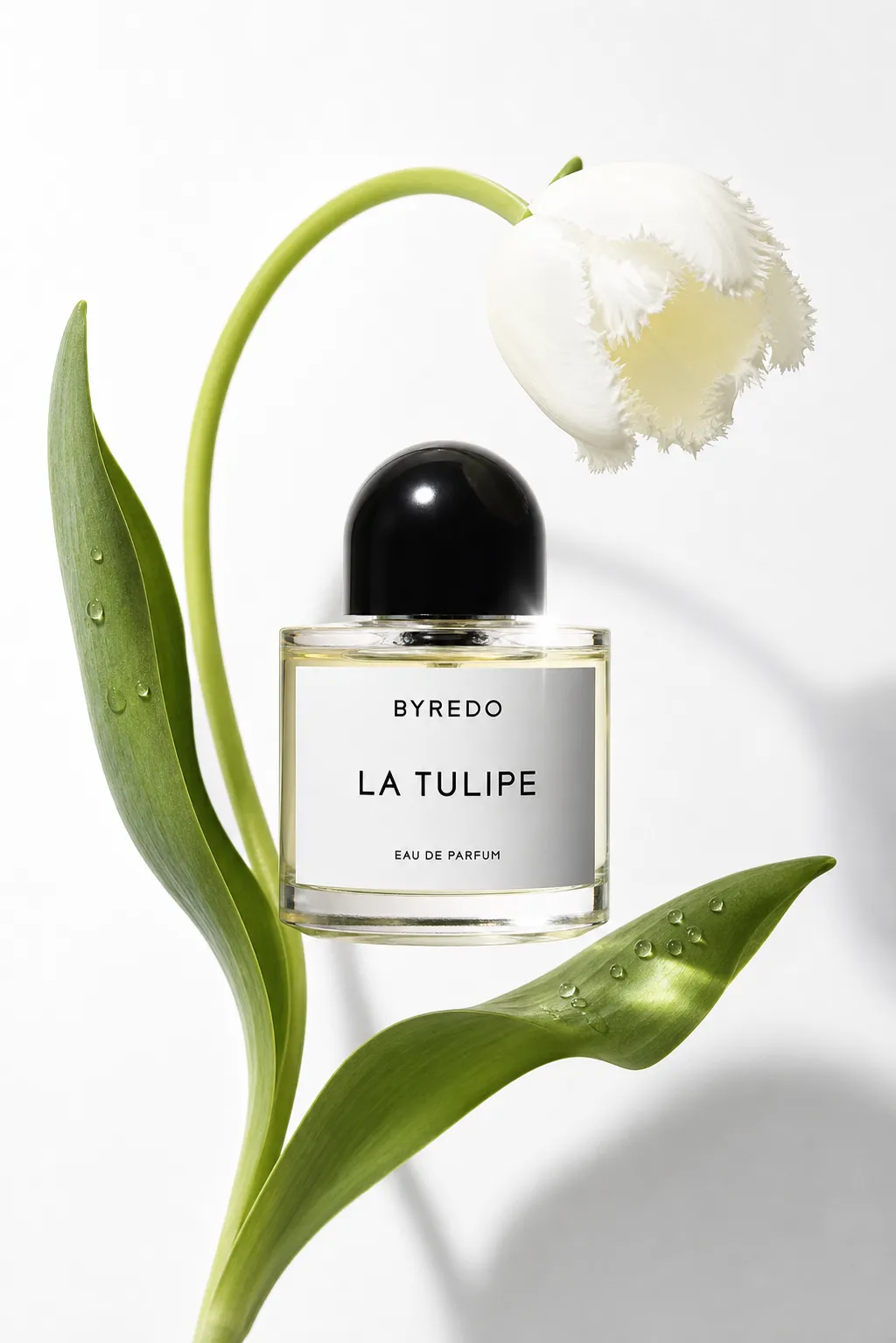 Byredo La Tulipe Eau De Parfum Bottle With White Tulip｜AI Image Generation Prompts