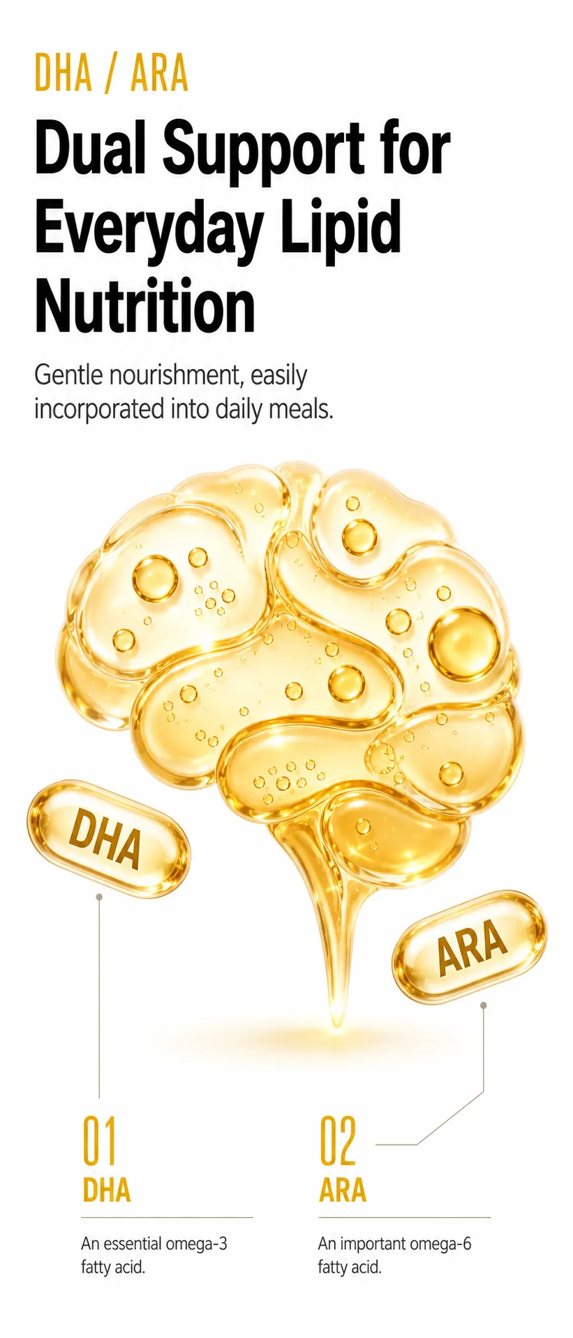 DHA and ARA daily lipid nutrition｜AI Image Generation Prompts