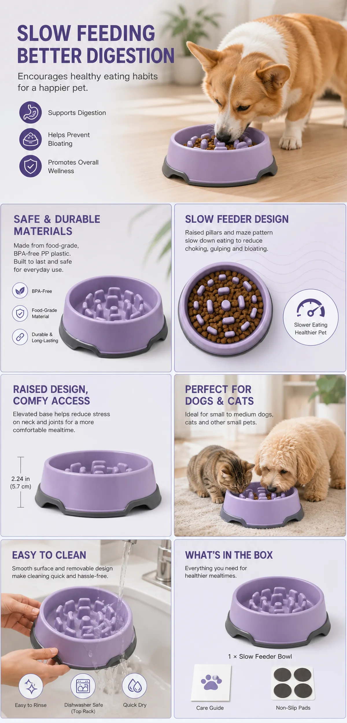Purple Slow Feeder Bowl Features and Benefits｜AI Image Generation Prompts